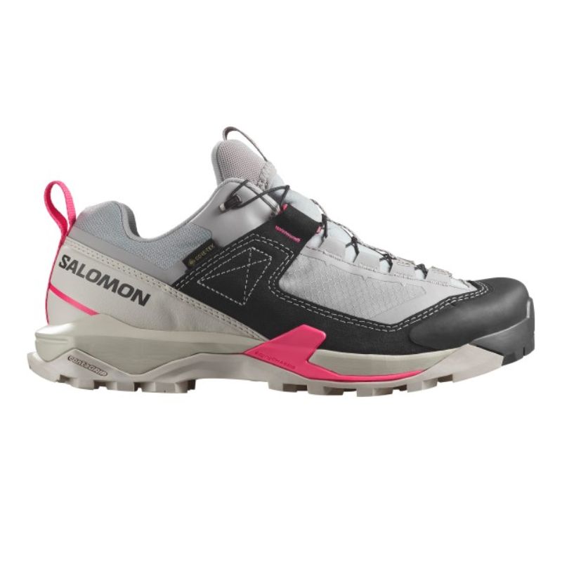 Salomon Alpine Trek walking shoes