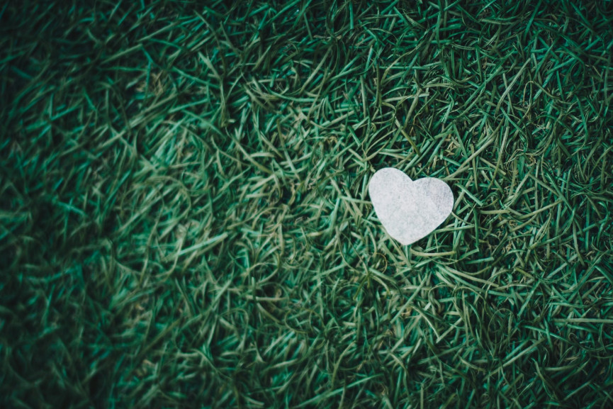 isaac-benhesed-664447-unsplash-1556647180-3wza-column-width-inline