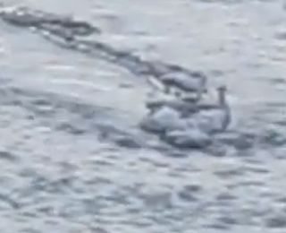 This screengrab came from a video that surfaced about a week ago depicting a bizarre river monster in eastern Iceland.