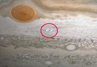 This annotated image circles the location of Clyde's Spot, a new storm on Jupiter, in a white atmospheric belt just below and to the right of the Great Red Spot.