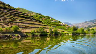 river and vineyard in The Douro Valley, Portugal