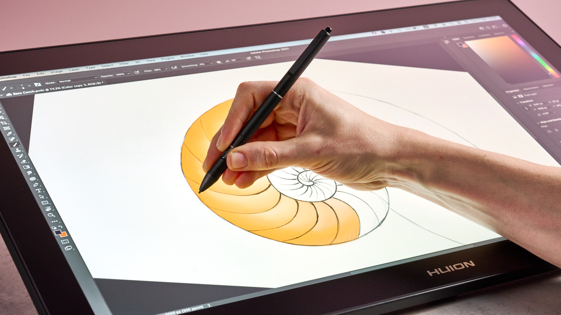 A hand draws a line on a sketch of a nautilus shell on the Huion Kamvas Pro 24 Gen 3.