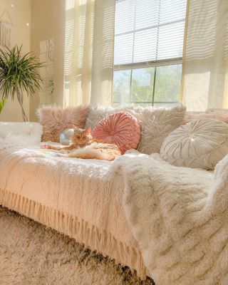 Couch with pillows and cat