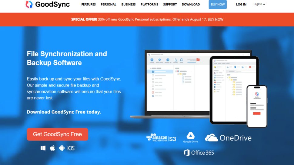 Website screenshot of GoodSync (August, 2025)