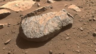 A closeup of the Mars rock nicknamed "Rochette," which the Perseverance science team will examine in order to determine whether to take a rock core sample from it.