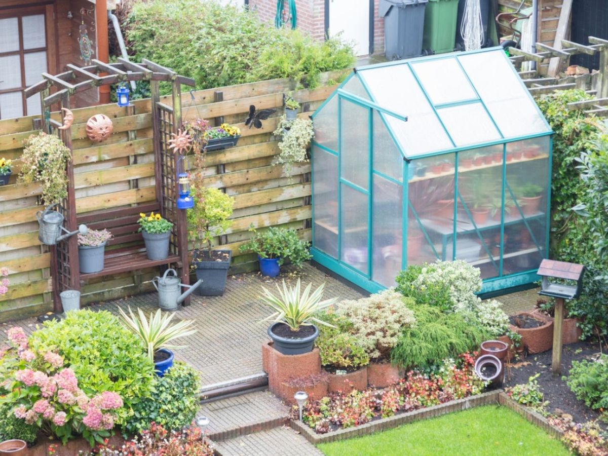 What Is A Mini Greenhouse: Information And Plants For Mini Greenhouses