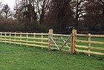 1B8E15EB-2106-4297-B3AC-30CB17B04D68.jpg