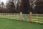 1B8E15EB-2106-4297-B3AC-30CB17B04D68.jpg
