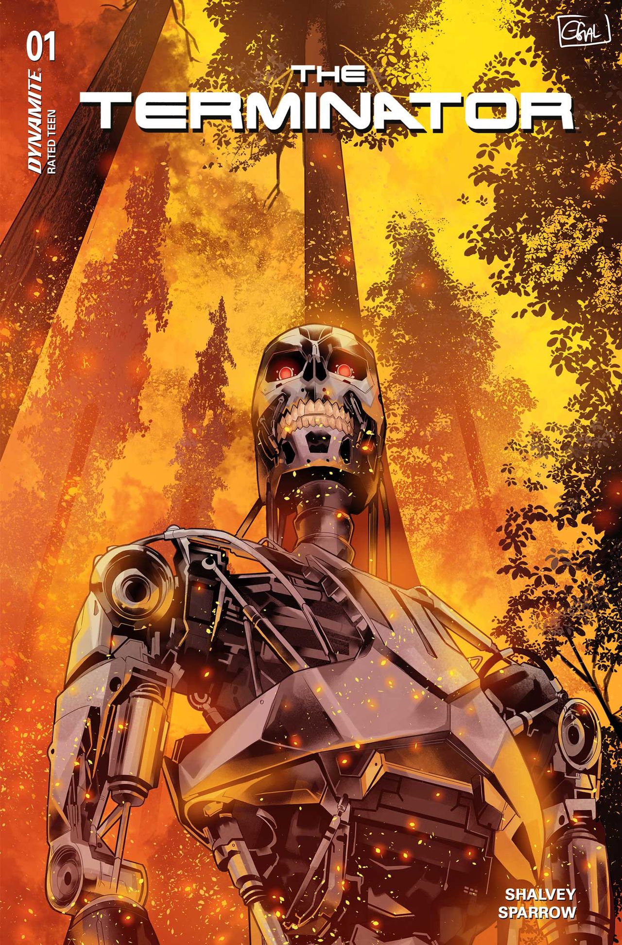Art from The Terminator #1.