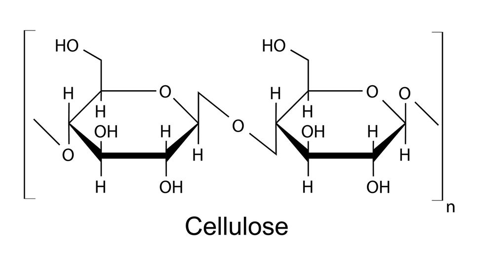 Why does paper tear more easily when it's wet? Live Science