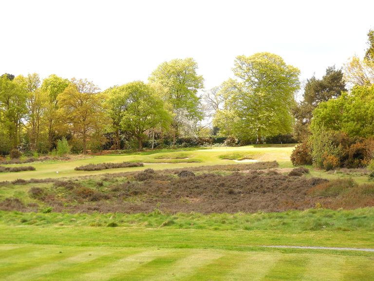 Burhill Old Course 6th hole