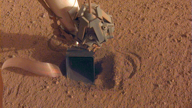 The movement of sand grains in the scoop on the end of NASA InSight's robotic arm suggests that the spacecraft's self-hammering "mole," which is in the soil beneath the scoop, had begun tapping the bottom of the scoop while hammering on June 20, 2020.