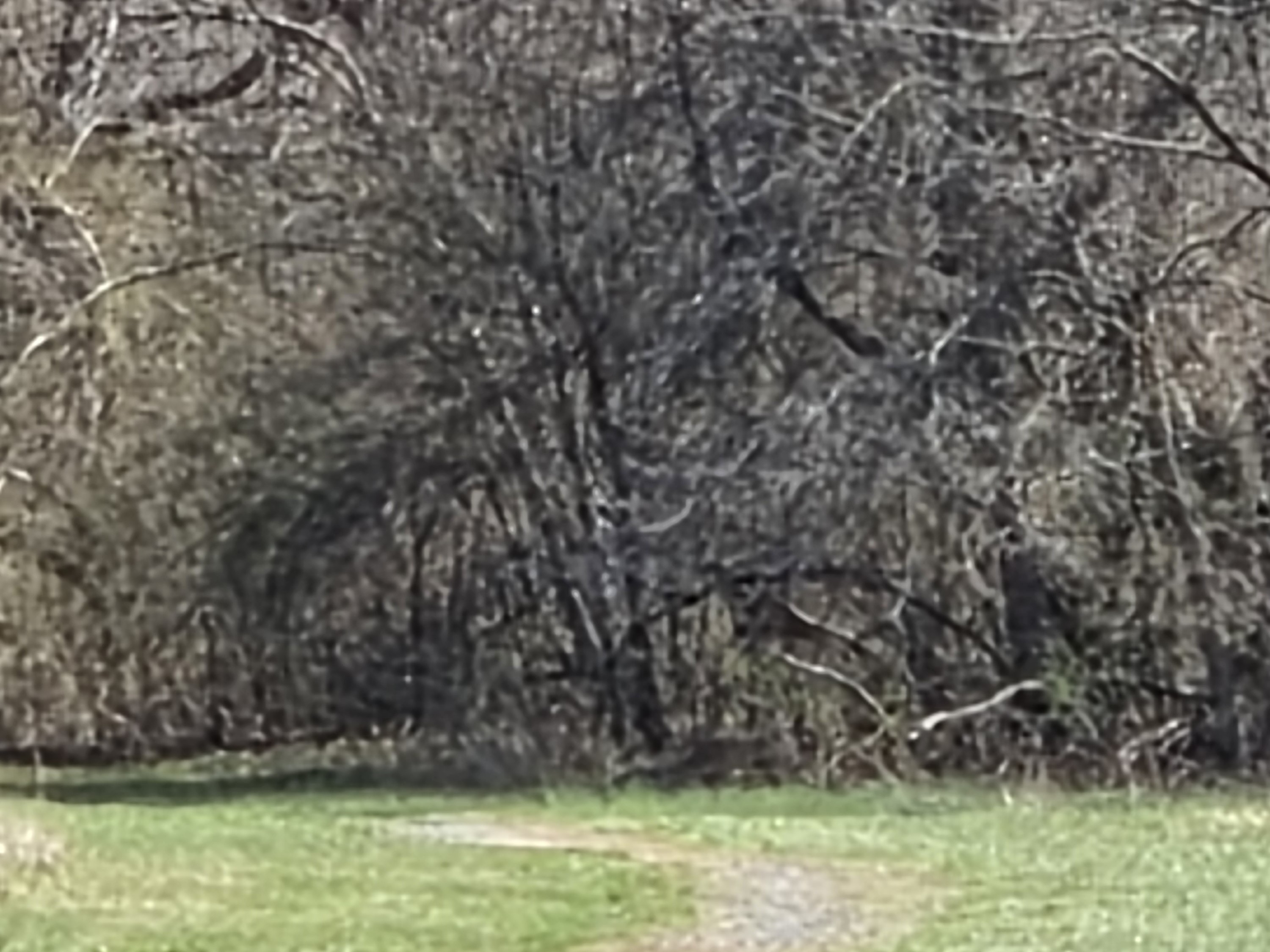 Samsung Galaxy S26 Plus Review Camera Samples