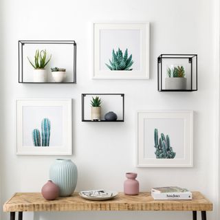 Gallery wall made up of succulents in floating shelves and in photos