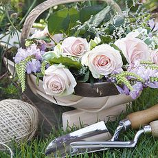 pink colour rose with basket