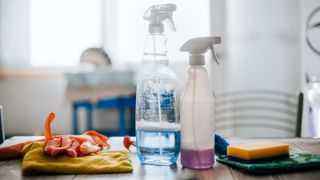 picture of cleaning products on kitchen countertop