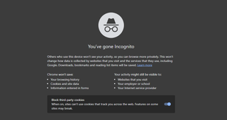 A Google Incognito Mode tab open in a desktop window, displaying the updated disclaimer