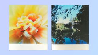 A photo of a fake yellow flower next to a photo of a landscape, taken on a Kodak Mini Shot 3 Era 2-in-1 hybrid instant camera