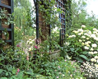 Garden trellis against wall with mirrors incorprated