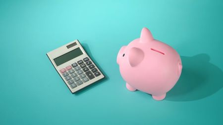 Piggy bank and calculator