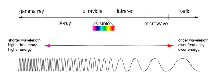 Diagram of the electromagnetic spectrum shows shorter wavelengths with higher frequency and energy on the left and longer wavelengths, with lower frequency and lower energy on the right. From left to right along the spectrum are gamma rays, X-ray, ultraviolet, visible light, infrared, microwave and radio waves.