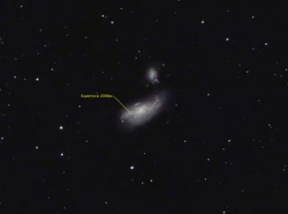 A 2008 supernova was visible from Earth within the Cocoon Galaxy.
