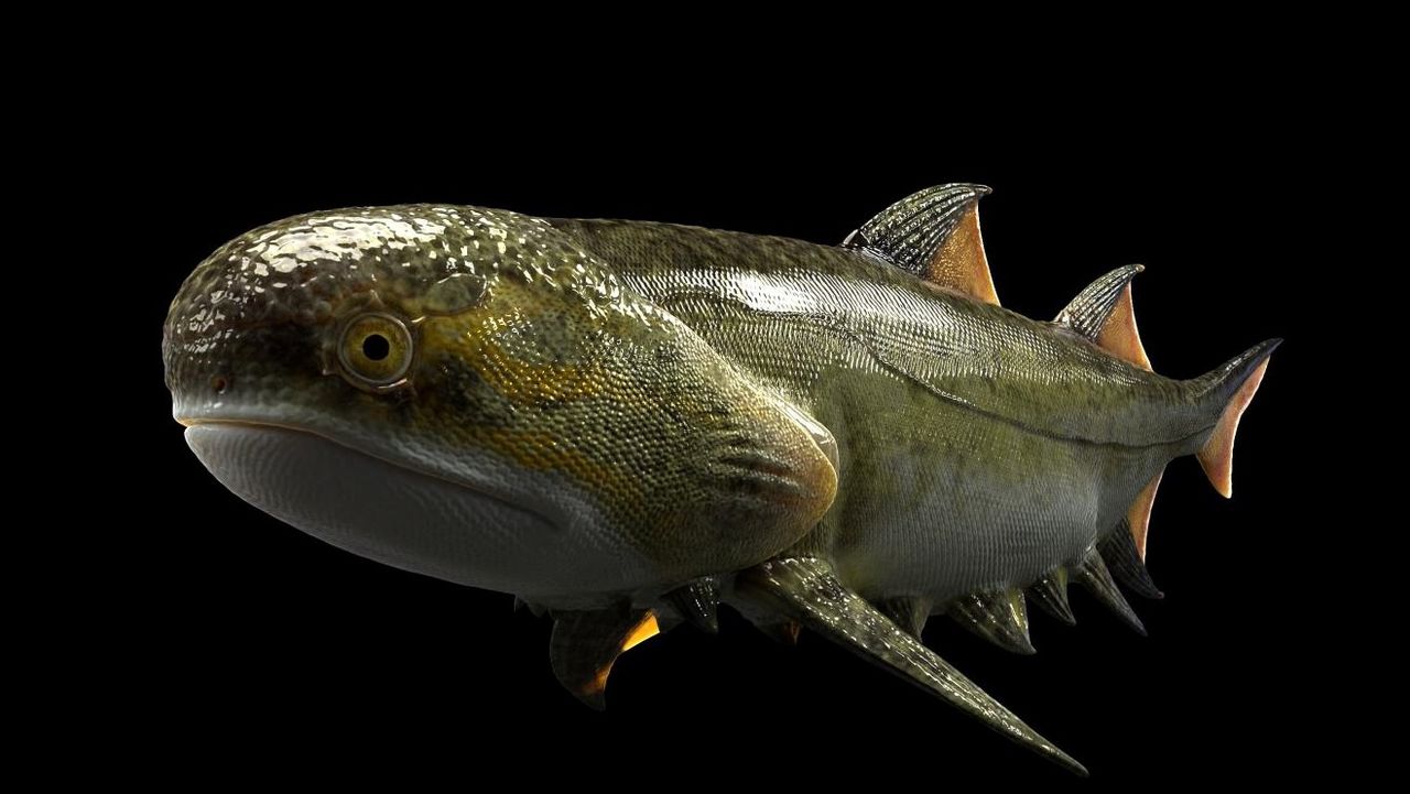 A detailed reconstruction of what F. renovata might have looked at.