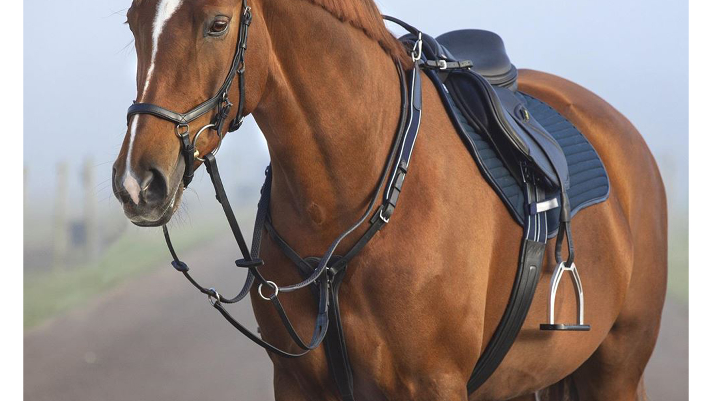 Horseware Rambo Micklem Breastplate