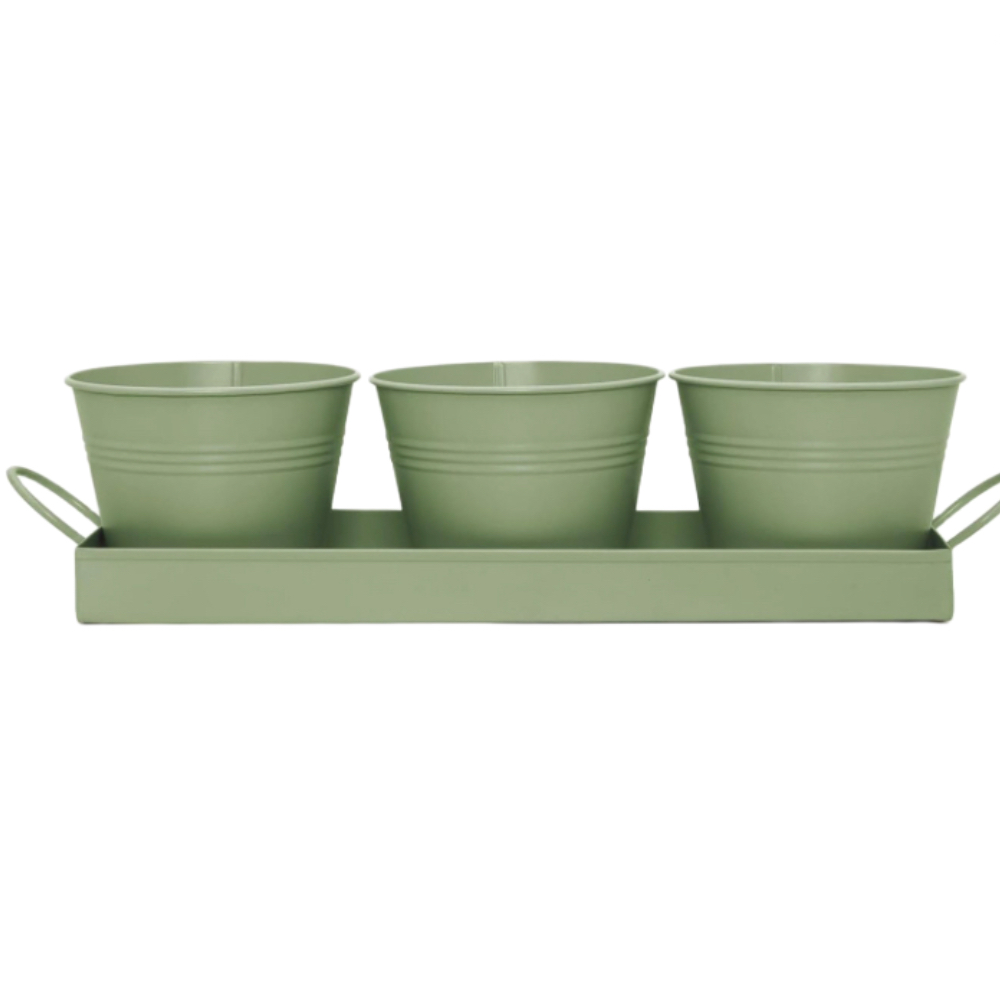 three green herb pots on tray