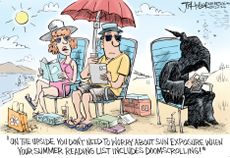 Political cartoon