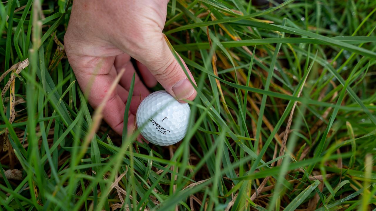 Doh! Picked Up Your Ball By Accident? Here&#039;s What You Need To Do