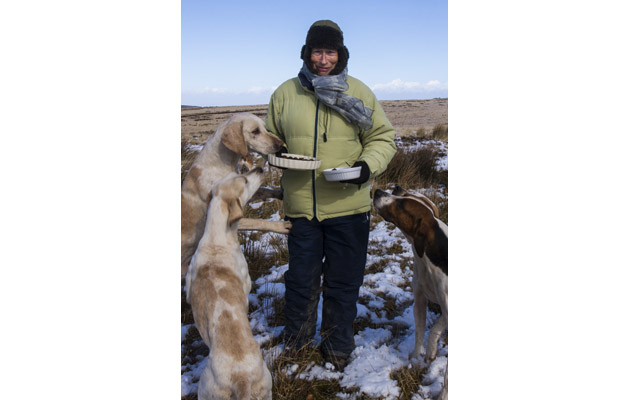 ladywithhoundsexmoorhunt