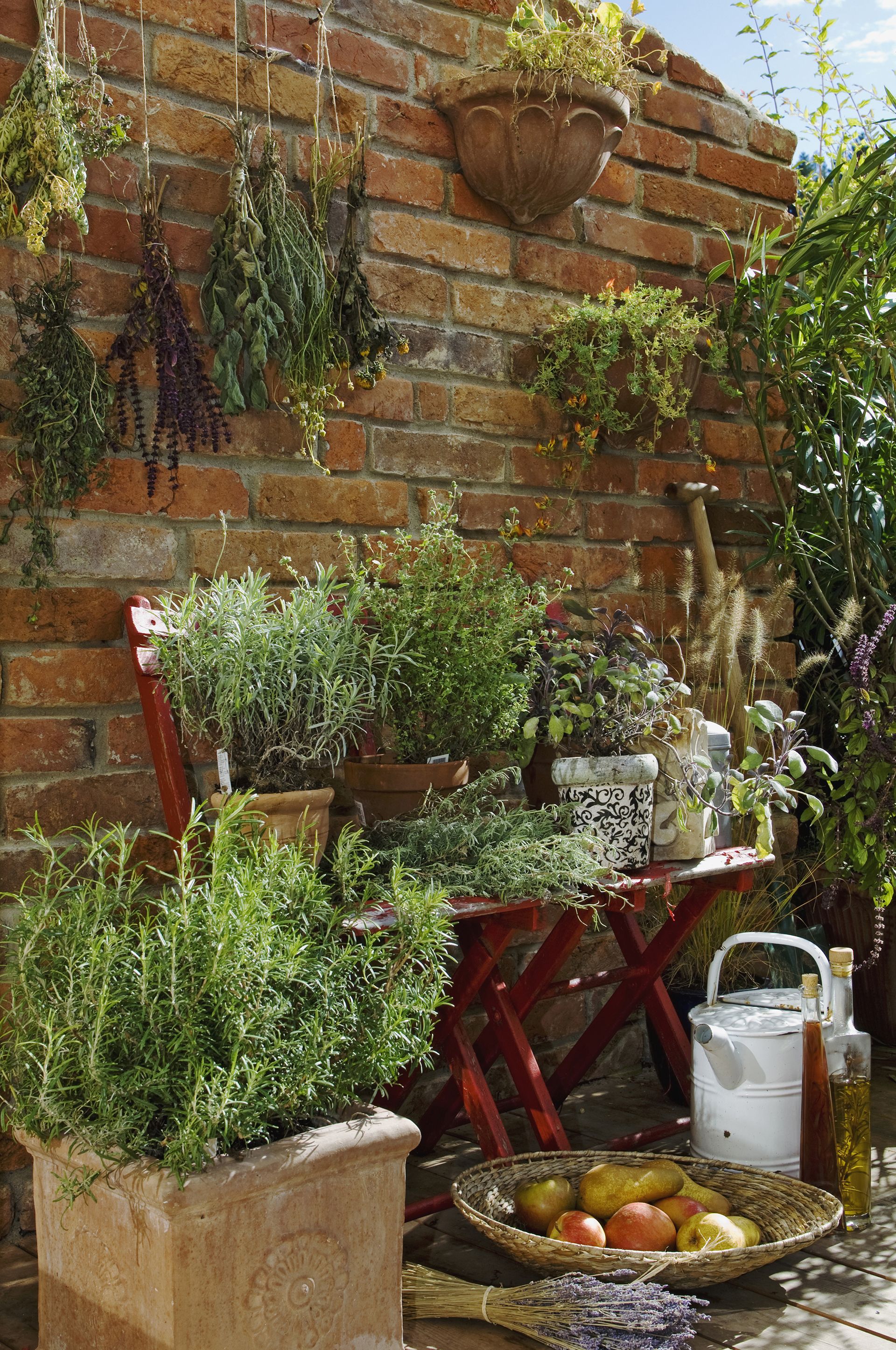 herb garden ideas