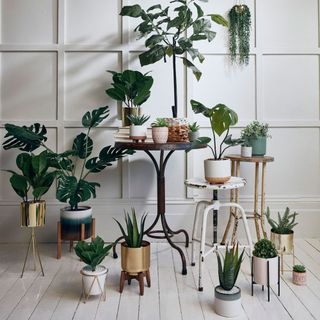 potted plants and faux plants on wooden round table
