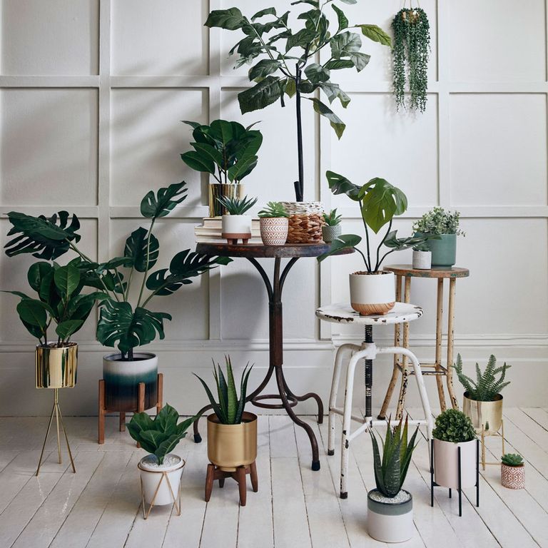 New Year Primark homeware range filled with botanicals & faux plants