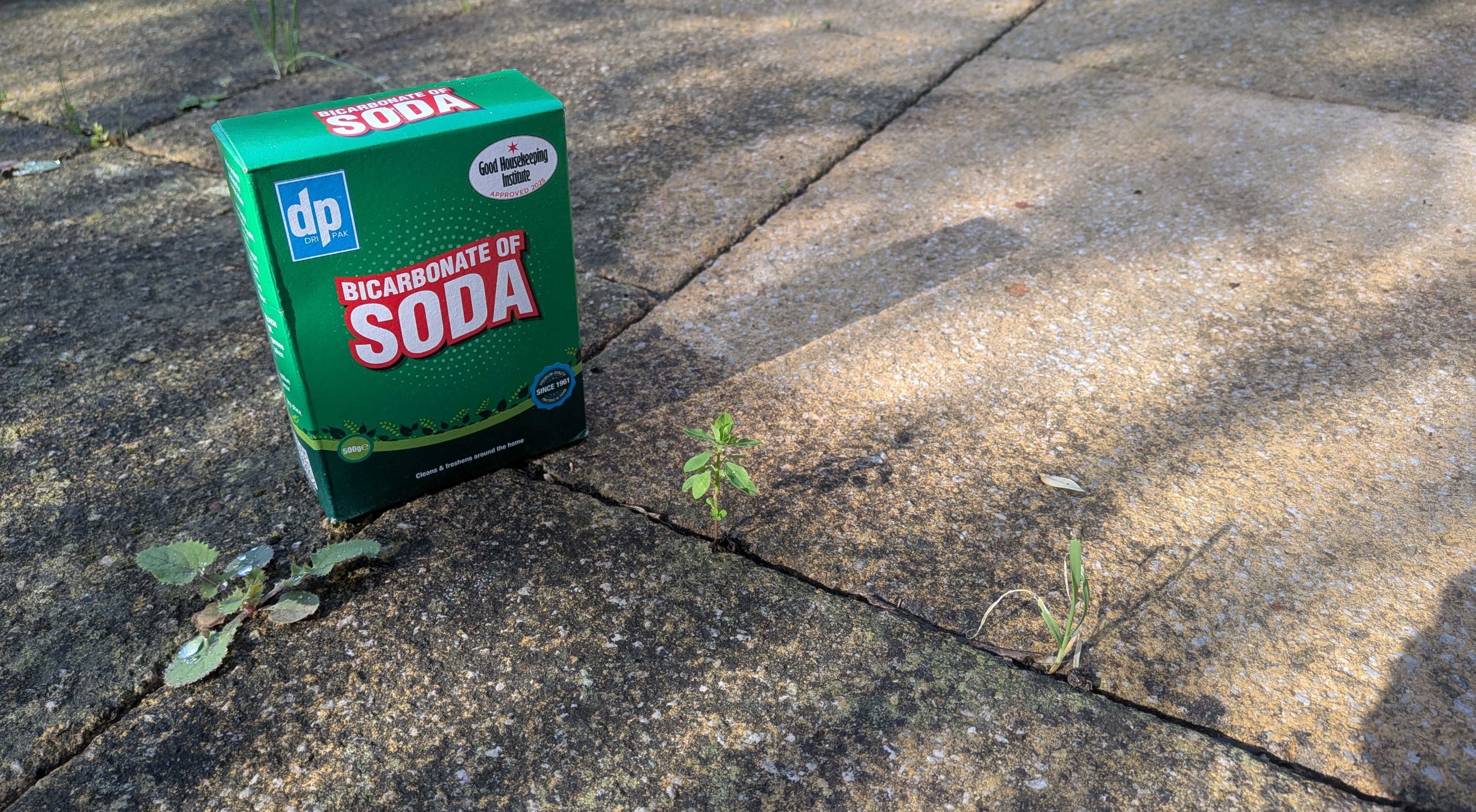 Baking soda on pavers