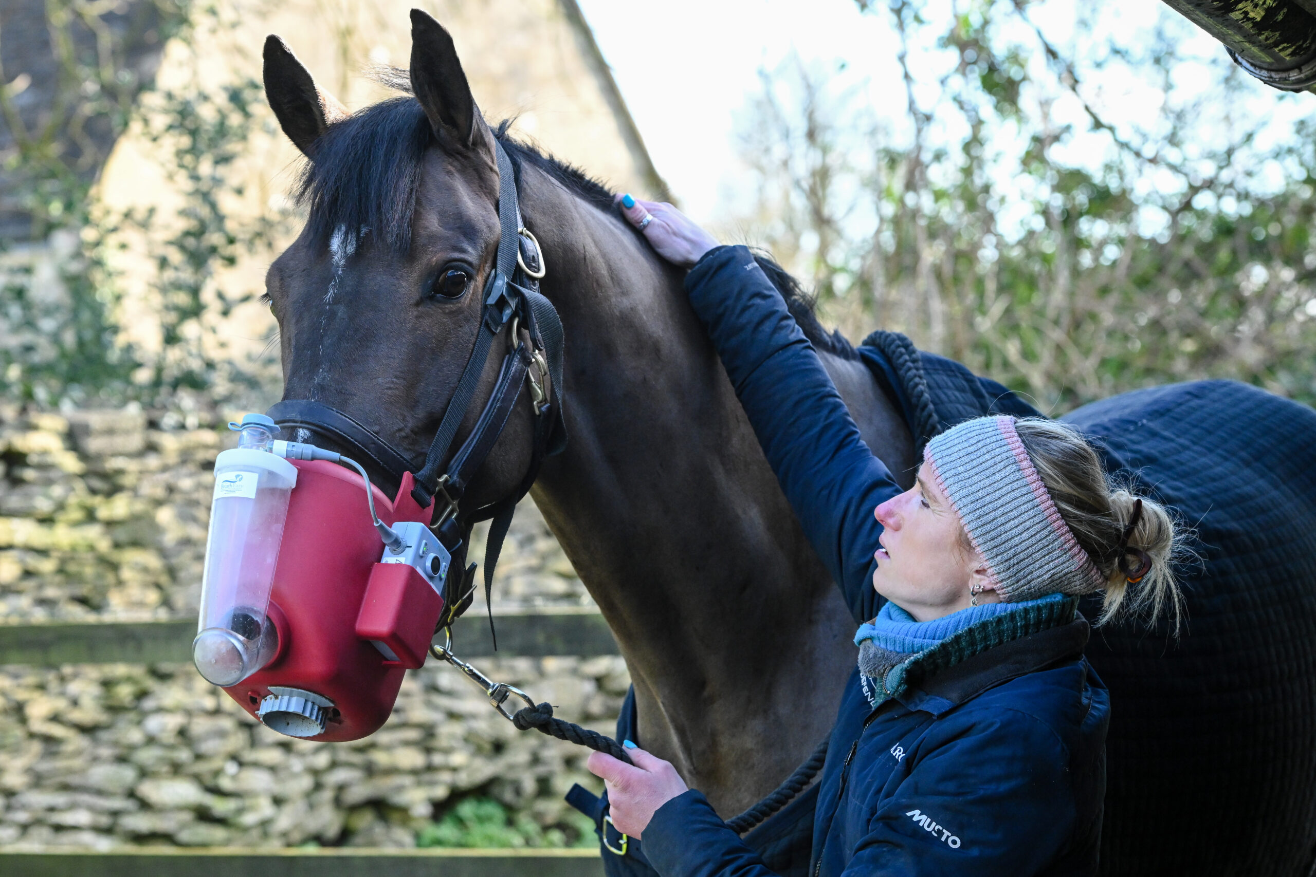 Horse wearing a nebulizer