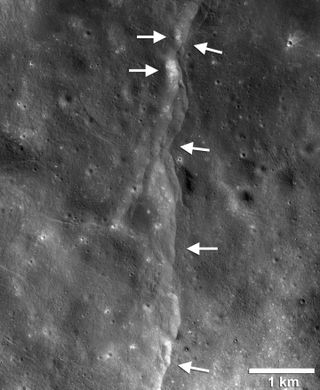 This prominent thrust fault is one of thousands discovered on the moon by NASA's Lunar Reconnaissance Orbiter. These faults, called scarps, resemble small stair-shaped cliffs when seen from the lunar surface. The scarps form when one section of the moon's crust (left-pointing arrows) is pushed up over an adjacent section (right-pointing arrows) as the moon's interior cools and shrinks. New research suggests that these faults may still be active.