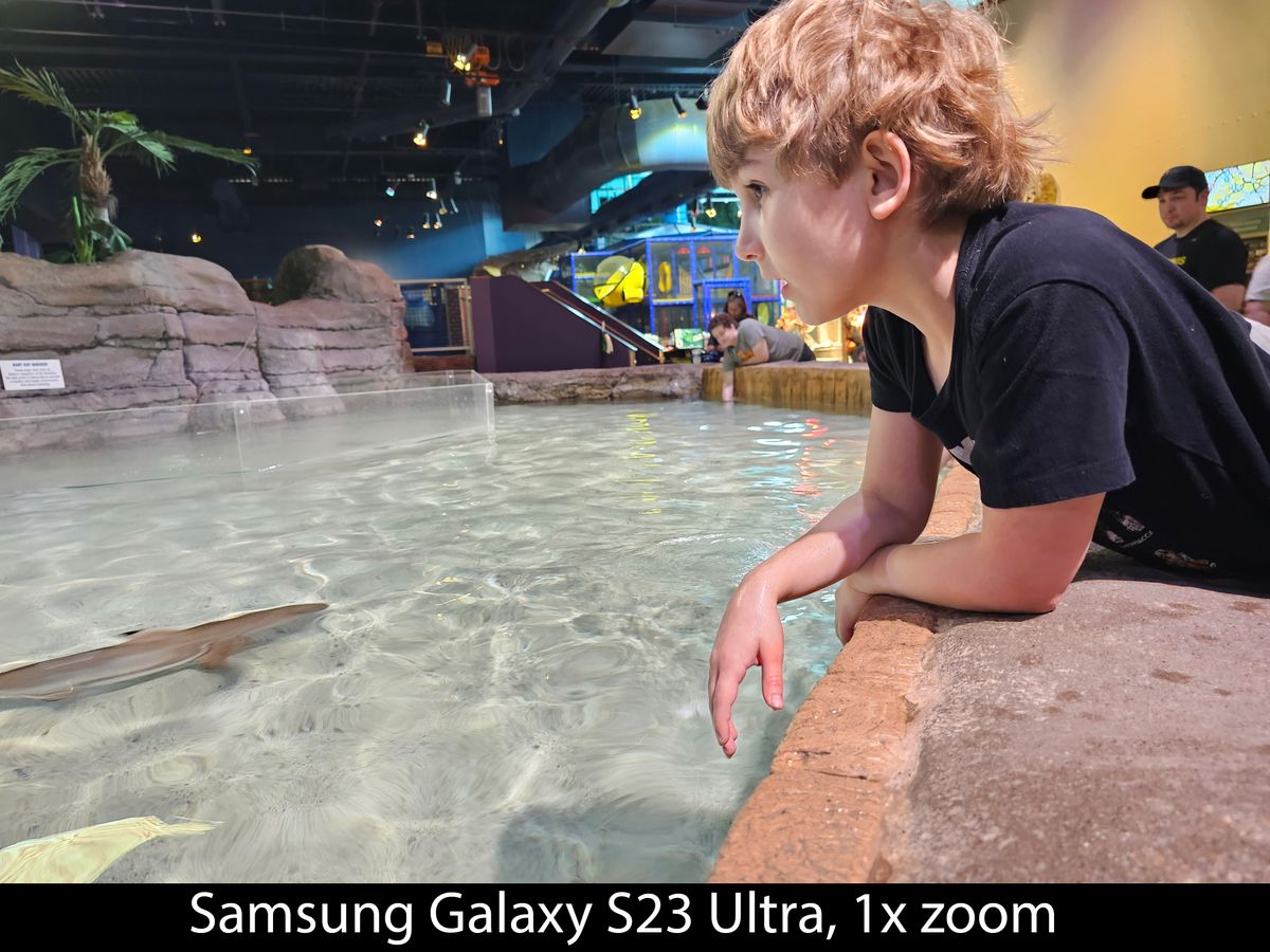 Camera samples from the Samsung Galaxy S23 Ultra's main camera