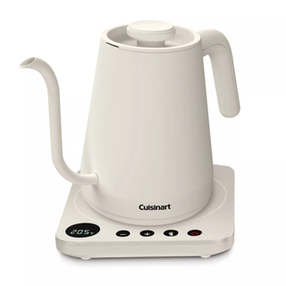 Gooseneck electric kettle