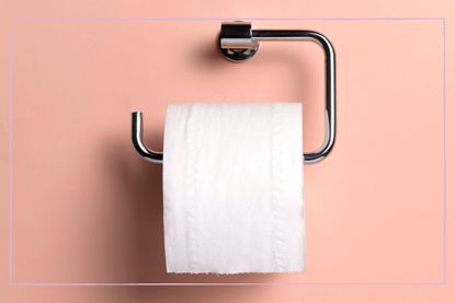 a close up of a toilet roll on a silver toilet roll holder on a pale pink background