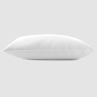 Down Chamber Pillow: