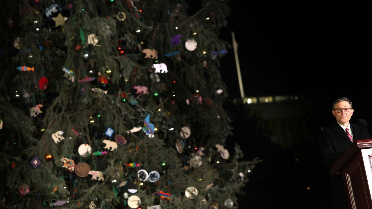 House Speaker Mike Johnson (R-La.) beside a Christmas tree