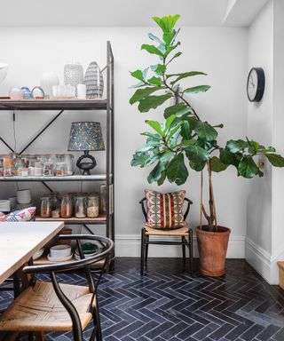 Bright dining area with dark parquet tiled floor, pale grey walls, large houseplant, shelving with glass jars, vases and a lamp below a skylight.