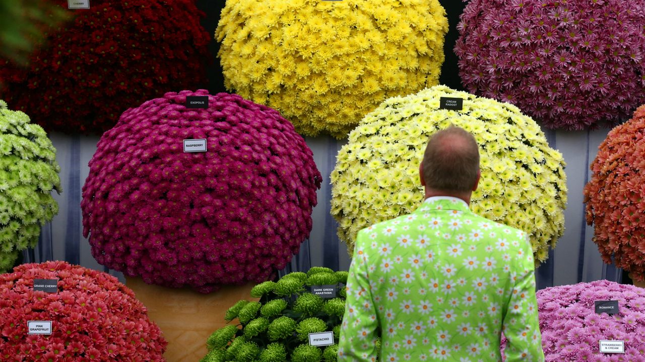 Chelsea Flower Show