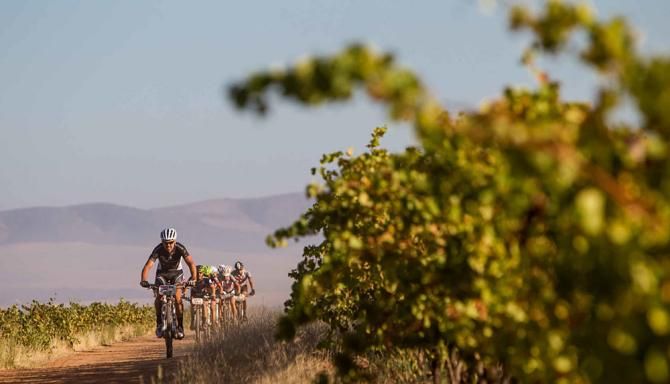 Neil Macdonald and riders their way through the vineyards during stage 5