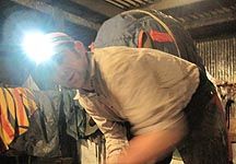 Farrier-headtorch.jpg