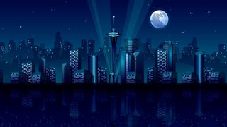Seattle in moonlight