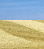 AFBE8065-310C-4798-8619-8440D2C0BB87.gif