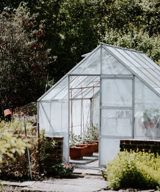 A greenhouse in a sunny spot in garden
